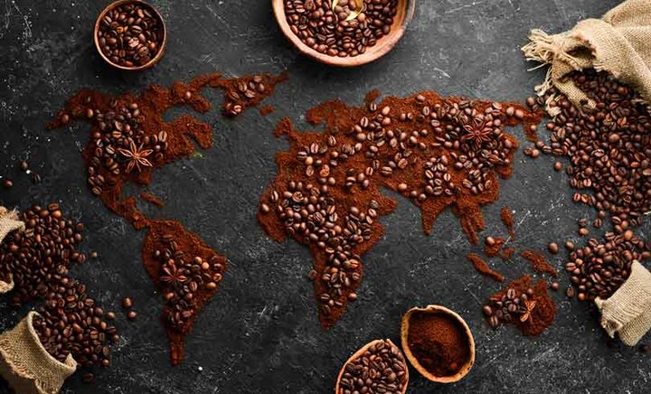 واردات ۱۴۸ میلیون دلاری؛ سهم ۱۹ درصدی قهوه در بازار تجارت جهانی|سربیل