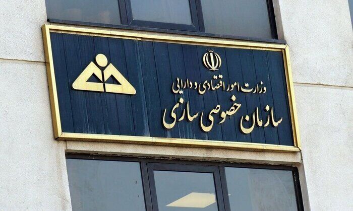 رئیس سازمان خصوصی سازی منصوب شد|سربیل