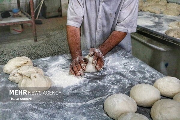 آیا اصلاح یارانه نان بدون شوک قیمتی امکان‌پذیر است؟|سربیل