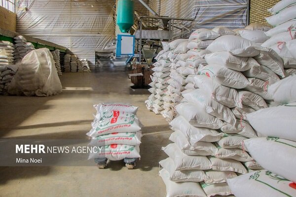 محموله‌های برنج در گمرکات تعیین تکلیف شدند|سربیل